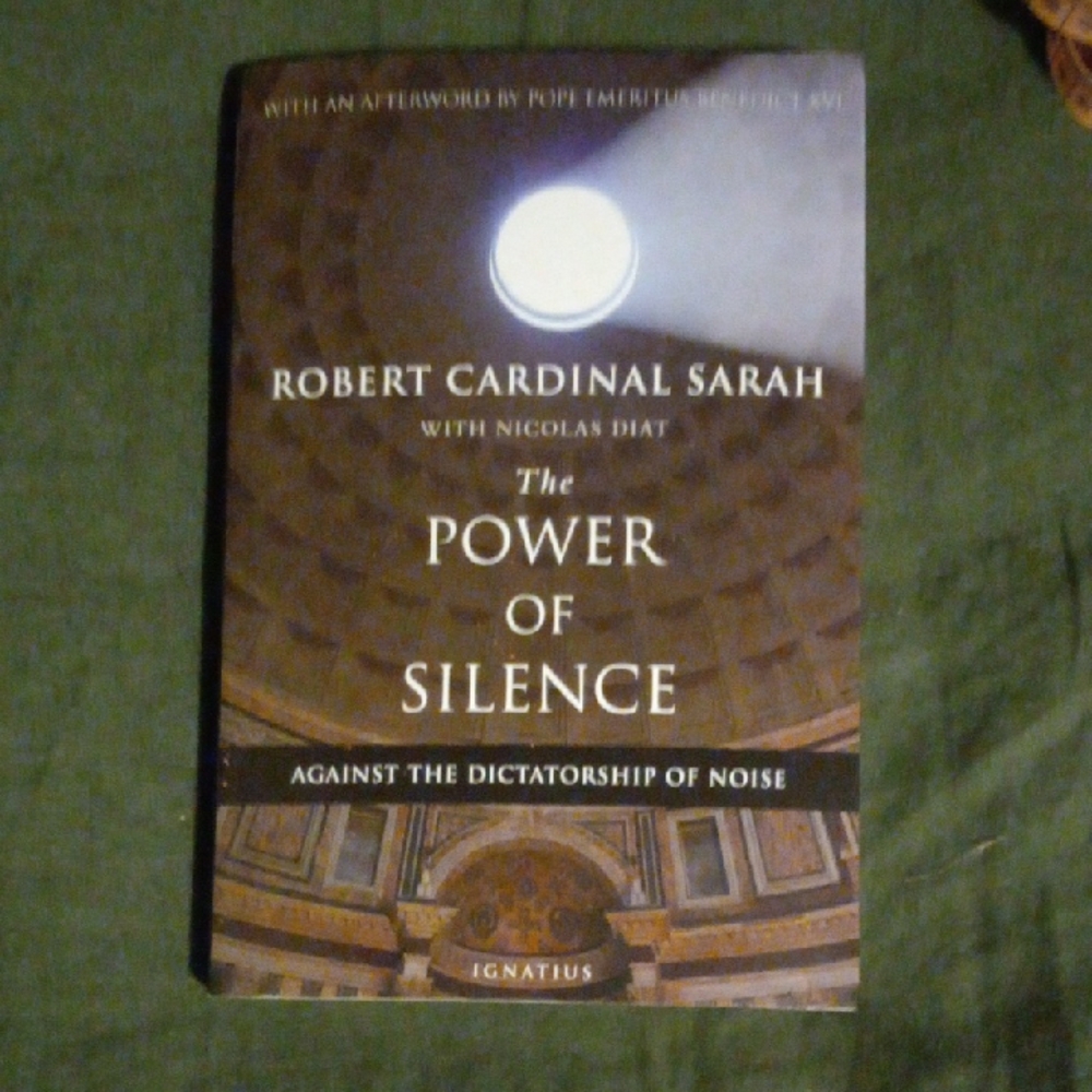 The Power of Silence Book